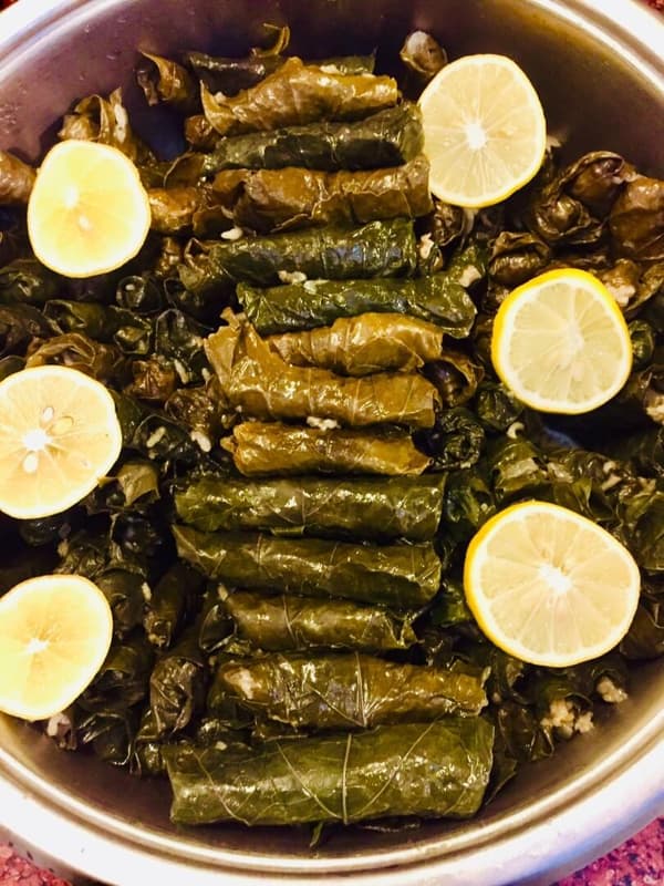 Safie Meyhane - 35. Fotoğraf Safie Meyhane - 35. Fotoğraf