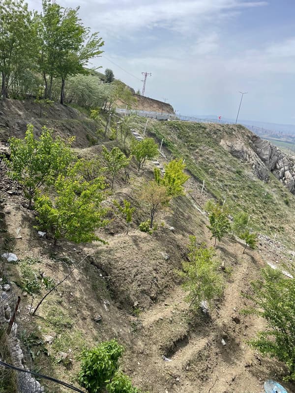 Şairin Yeri - 41. Fotoğraf Şairin Yeri - 41. Fotoğraf