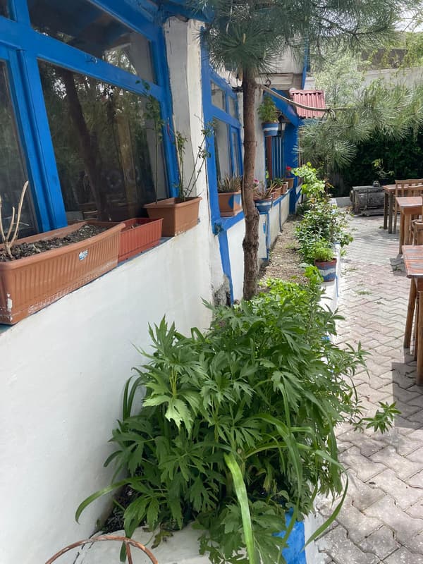 Şairin Yeri - 37. Fotoğraf Şairin Yeri - 37. Fotoğraf