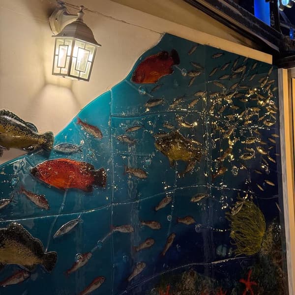 Çiroz Keyif - 11. Fotoğraf Çiroz Keyif - 11. Fotoğraf