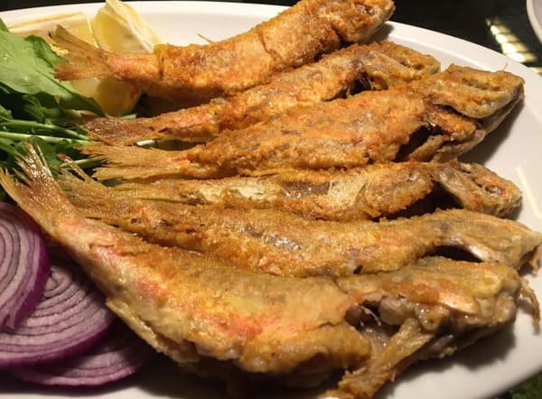 Çiroz Keyif - 5. Fotoğraf Çiroz Keyif - 5. Fotoğraf